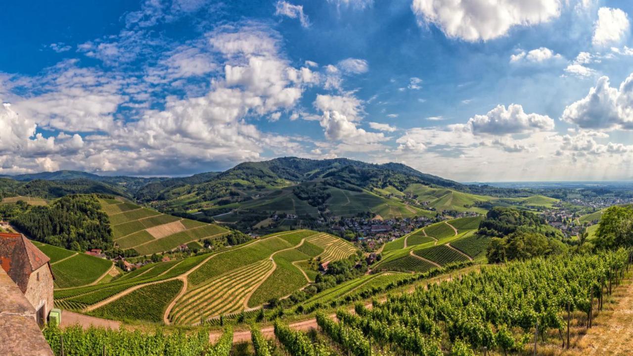 Dorint Hotel Durbach/Schwarzwald Dış mekan fotoğraf